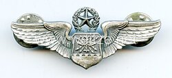 USA - Badge, Master Navigation / Aircraft